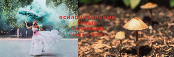 дмт Алексеевка