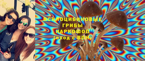 хмурый Костерёво