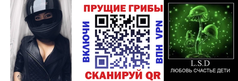 Псилоцибиновые грибы Magic Shrooms  Кирсанов 